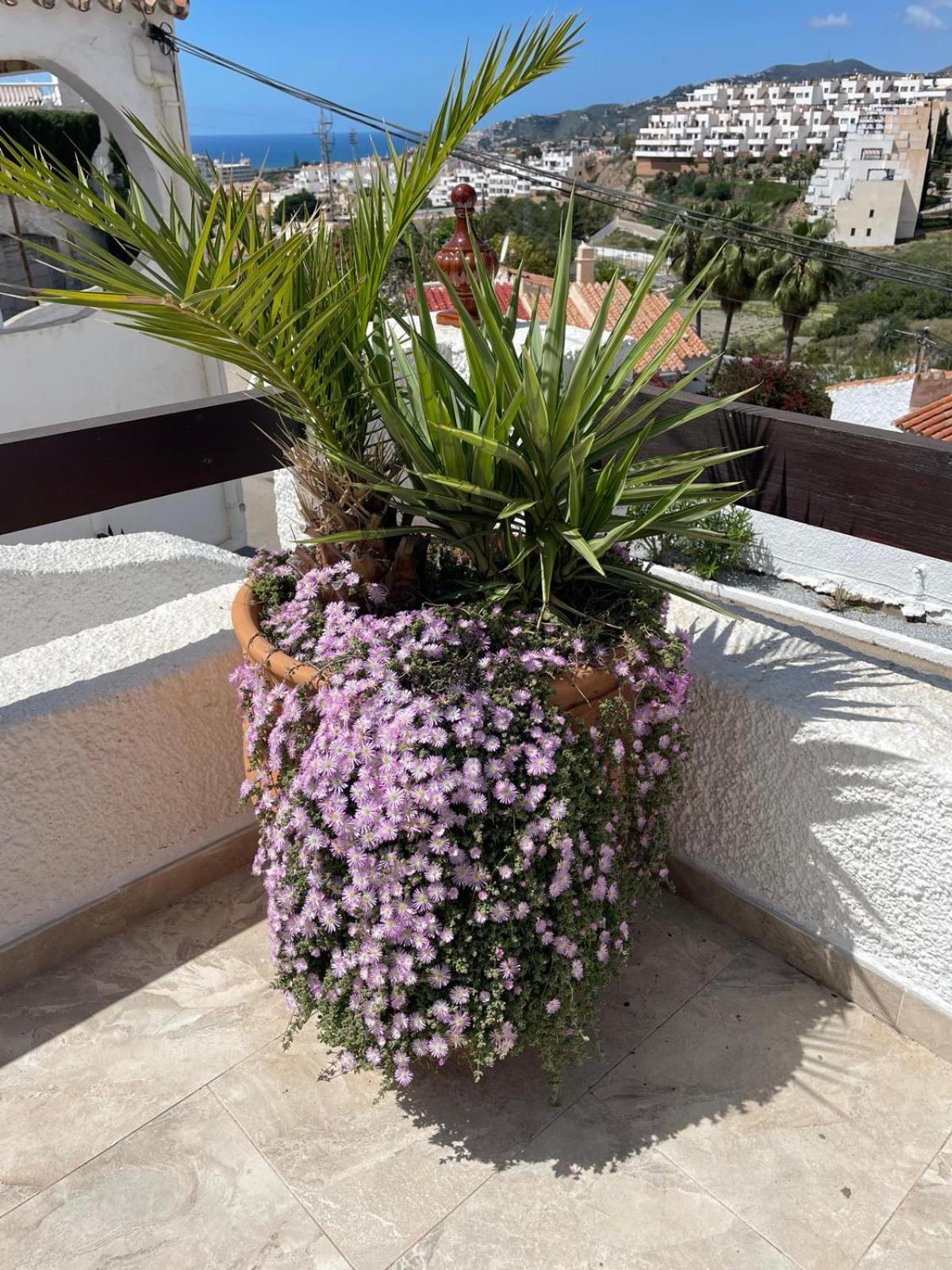 Villa Naricha 1 Menyber Nerja Exterior foto